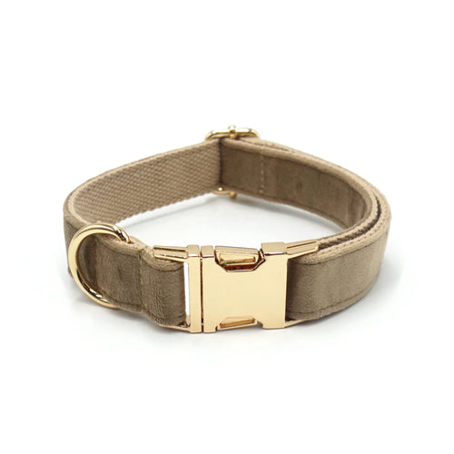 Customizable velvet dog collar