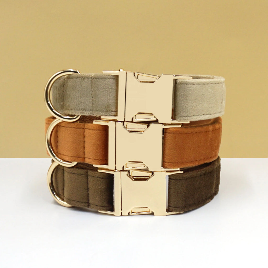 New 2024 Pet Luxury Velvet Dog Collar with Name Wholesale Elegant Grey Designer Dog Collar Personalised Dog Collars for Puppy